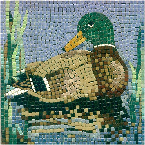 Unleash Your Creativity with Our Mosaic Tile Art Kit for Adults