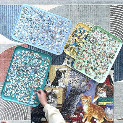 16.9" x 12" Extra (5000 Count)