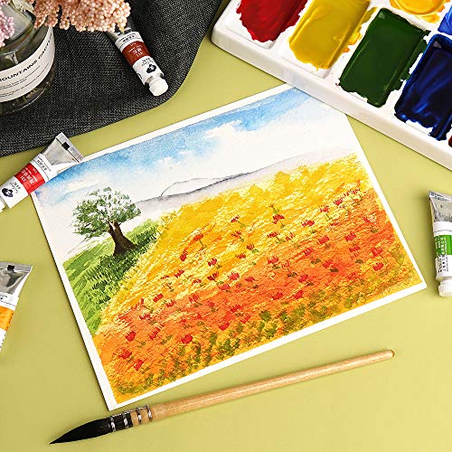 Watercolor Paint Tube Set