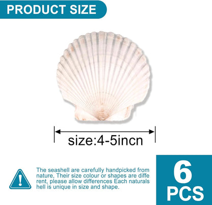 6PCS Scallop Shells for Crafts 4''-5'' Natural White Large Shells Decoration for DIY Craft Painting, Home Decor, Baking and Beach, Wedding Party Decoration