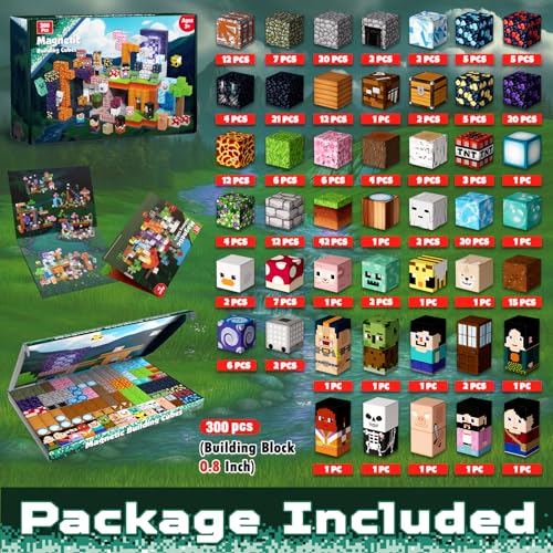 300PCS Magnetic Blocks
