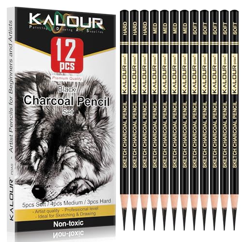 Professional Charcoal Pencils Drawing Set (12 Count)