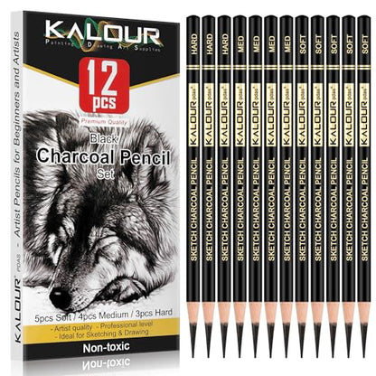 Professional Charcoal Pencils Drawing Set (12 Count)