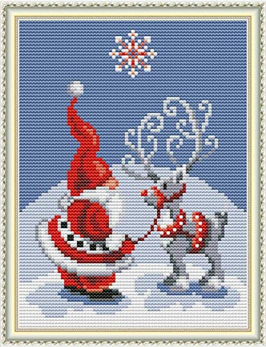 Cross Stitch Stamped Kits 11CT 9X11 inch Pre