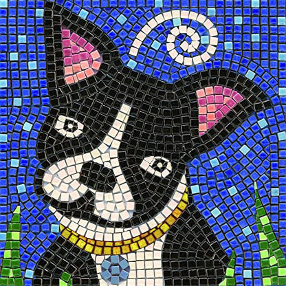 Adult Mosaic Crafts Project Kits