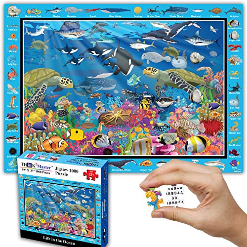 Colorful Ocean Life 1000 Pieces Jigsaw Puzzle for Kids 13+ (1000 Count)