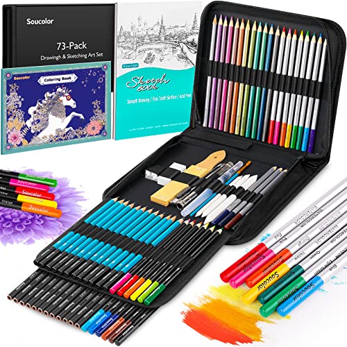 73Pcs Art Supplies Drawing Kit Sketch Pencils Set Adults Gift (73 Count)