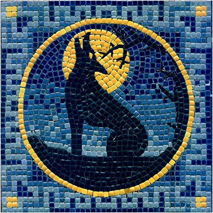 Make Your Own Stunning Mosaic with Our Adult Mosaic Crafting Kit