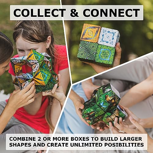 DODECA Magnetic Puzzle Cube