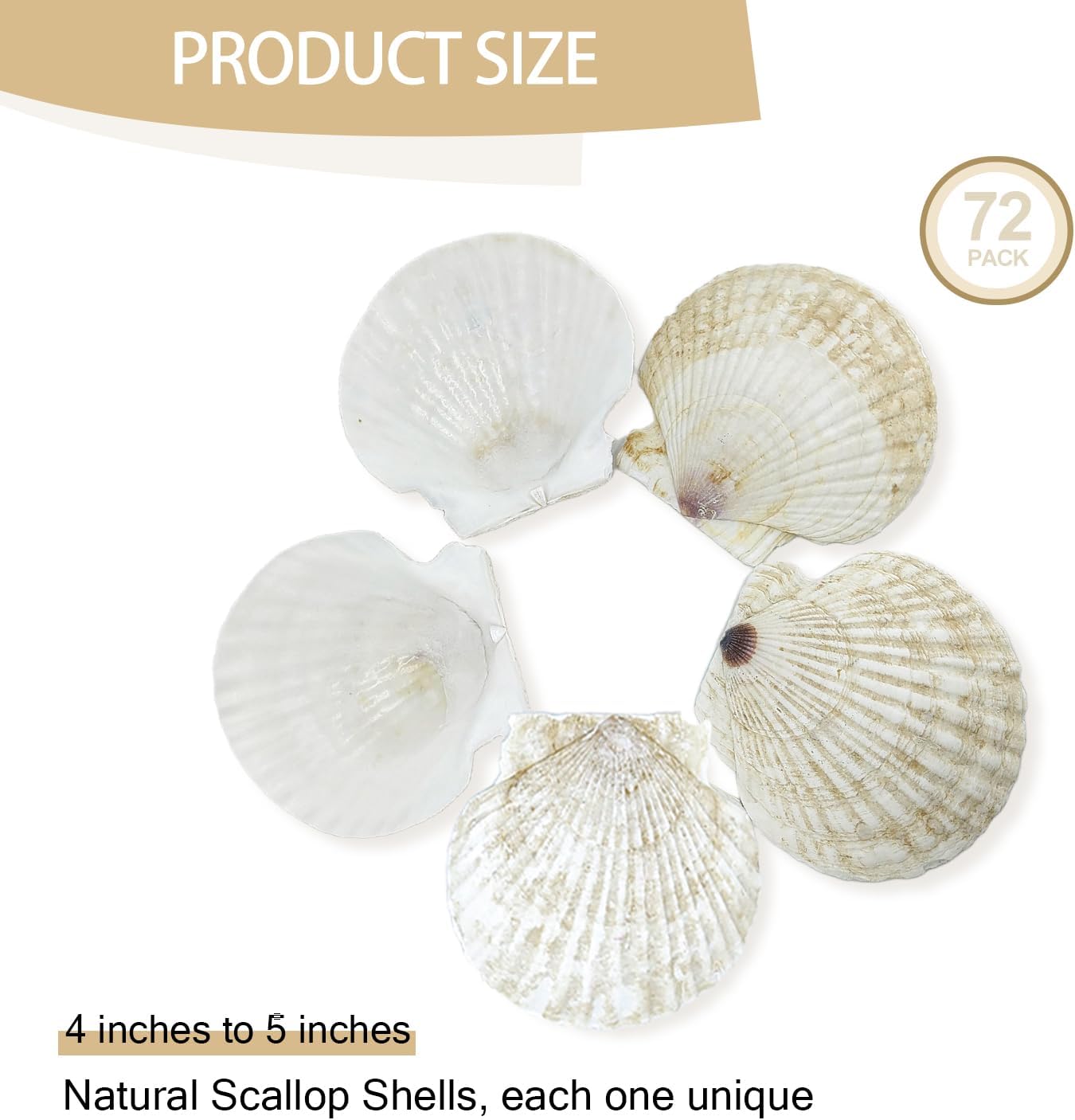 YOUKE OLA 60PCS Scallop Shells for Crafts Large Beach Natural Shells Bulk for Decoupage DIY Crafts Seashell Decorations Home Decor White 4''-4.5''