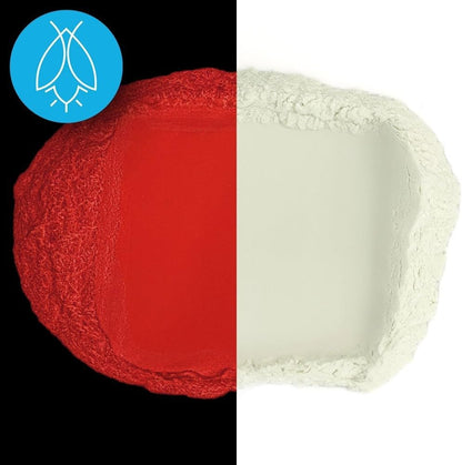 Glow in The Dark Pigment Powder - Neutral and Fluorescent Color for Art Painting, Fine Art, Nail Art Paint, and DIY Crafts - Long Lasting 10+ Color Options - Neutral Red - (30 Grams/1 Ounce)