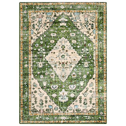 Felice Boho Tribal Area Rug