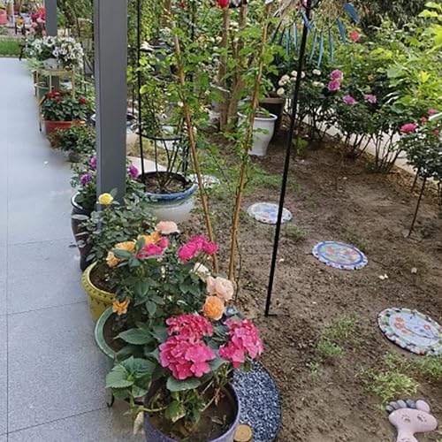 Stepping Garden Stone 1
