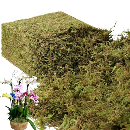2.2LB Large Capacity Fake Moss for Plants Indoor (35 Ounce)