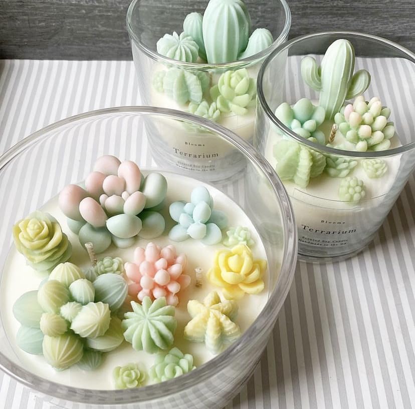 9 Pack Succulent Silicone Mold