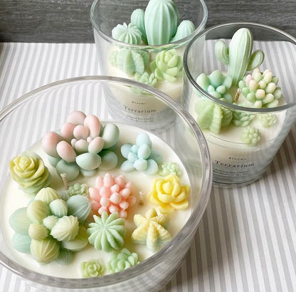 9 Pack Succulent Silicone Mold