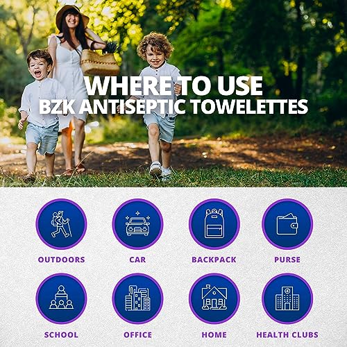 Benzalkonium Chloride Towelletes Hand Wipes (200 Count)