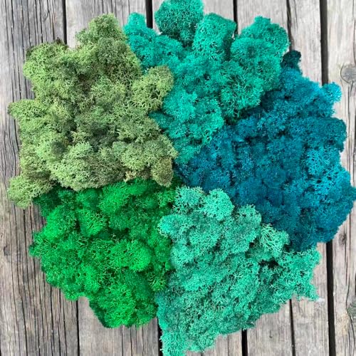 Preserved Reindeer Mix Craft Moss Natural Green DIY Kit Gardenning Art Wall Decor Florist Easter Table Decor Wedding Decor