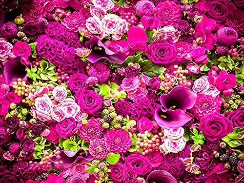 Rose Wall Mural Floral Photo Wallpaper
