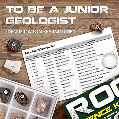 Piano Potato Rock and Mineral Kit 15 PCS with Box
