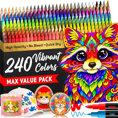 240 Dual Tip Acrylic Paint Marker Pens for Drawing (240 Count)