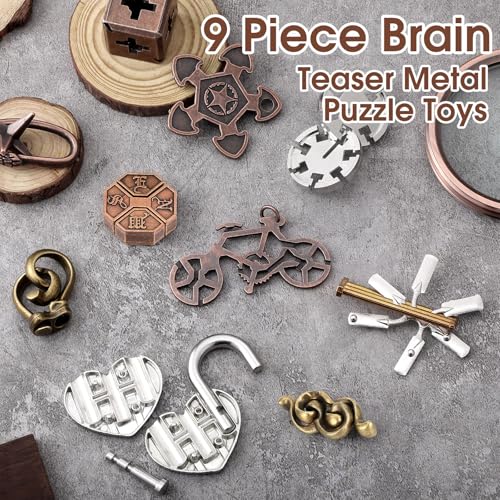 9 Pcs Metal Brain Teasers 3D Steel Puzzle Set (9 Count)