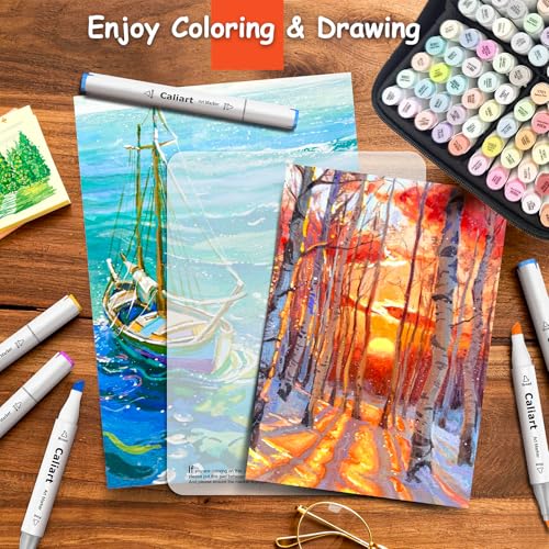 100 Colors Pastel Alcohol Markers Fine & Chisel Art Markers Pens (100 Count)