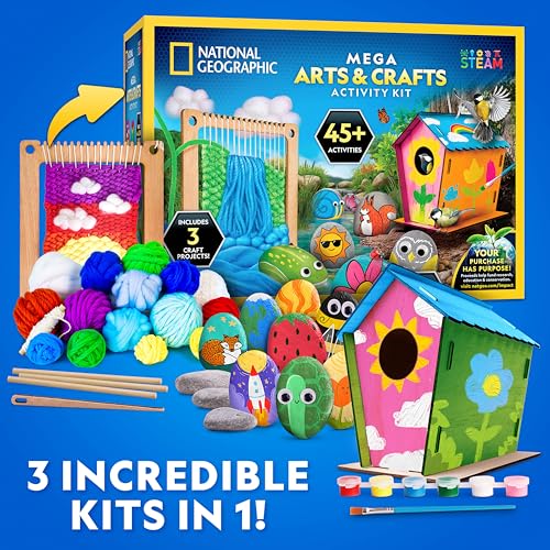 National Geographic Mega Arts and Crafts Activity Kit for Kids Ages 8