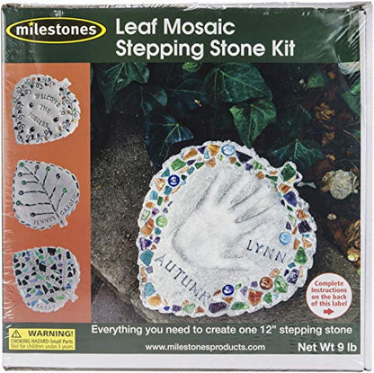 Mosaic Stepping Stone Kit