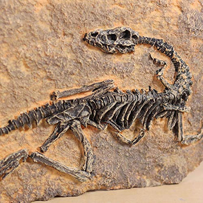 Resin Dinosaur Fossil Statue Model Simulated Skeleton Home Office Display Decorative Craft Box Decoration