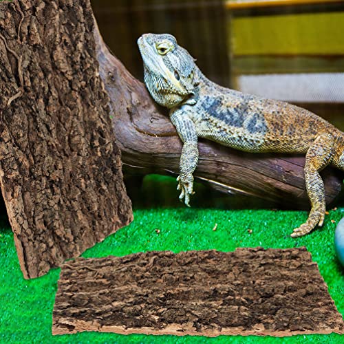Cork Bark 3Pcs Plants Decor Cork Terrarium Background Decorative Tree Bark Adornment Reptile Climbing Plaything for Gecko Lizard Tortoise Frog Bearded Dragon Tank Access