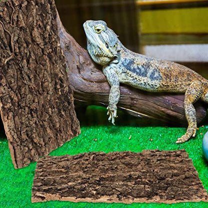 Cork Bark 3Pcs Plants Decor Cork Terrarium Background Decorative Tree Bark Adornment Reptile Climbing Plaything for Gecko Lizard Tortoise Frog Bearded Dragon Tank Access