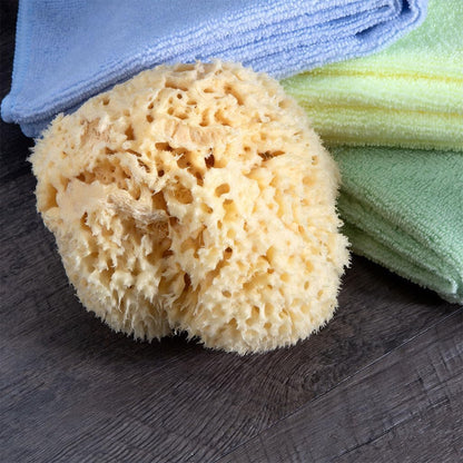Neptune Natural Sea Wool Sponge - All Natural Honeycomb Renewable Sea Sponge, X -Large, Approx. 6 Inches