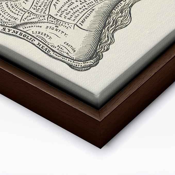 Poster Master A Symbolic Head Phrenology Print 1899 - Phrenology Canvas, Fine Art Print of a Scientific or Pseudoscience Academia Medical Illustration - 12x16 Brown Framed Canvas