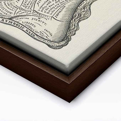 Poster Master A Symbolic Head Phrenology Print 1899 - Phrenology Canvas, Fine Art Print of a Scientific or Pseudoscience Academia Medical Illustration - 12x16 Brown Framed Canvas