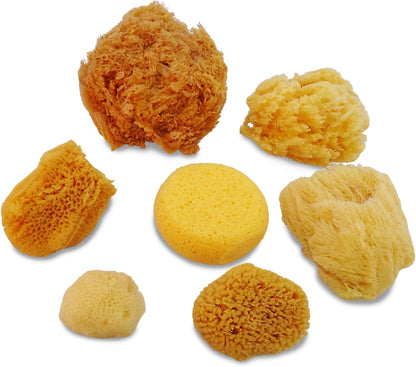 Natural Sea & Synthetic Sponges - Assorted Sizes 7pc Value Pack for Crafts & Artists: Great for Painting, Hobbies, Art, Effects, Ceramics, Clay, Pottery by Lullingworth®