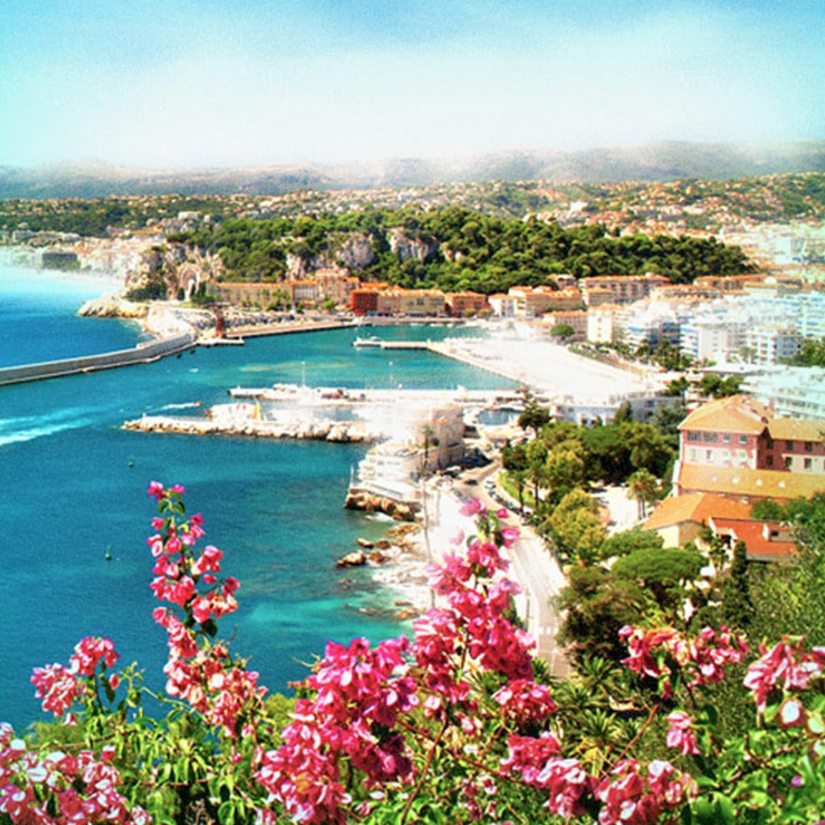 Charvin Extra Fine Oil Paint, Quinacridone Fuschia 20 ml - Triple-Milled, Rich Texture, Poppy Oil-Based, Light-Fast, Handmade, Archival Quality