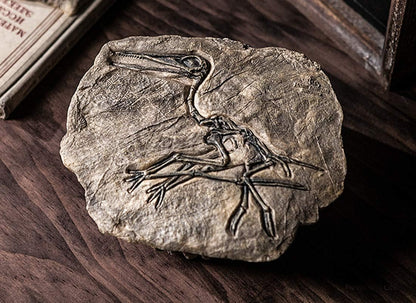 XINDAM Resin Dinosaur Fossil Statue Model Simulated Skeleton Home Office Display Decorative Craft Box Decoration (Style 3)