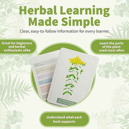 Herb Notes Flash Cards – Educational Plant Learning Cards with Botanical Illustrations – 48-Card Set for Plant Identification, Nature Study & Classroom Learning