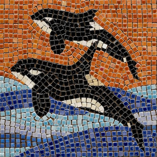 Build a Real Mosaic with Our DIY Mosaic Kit for Adults, Square 7inch (20cm) Orca 2