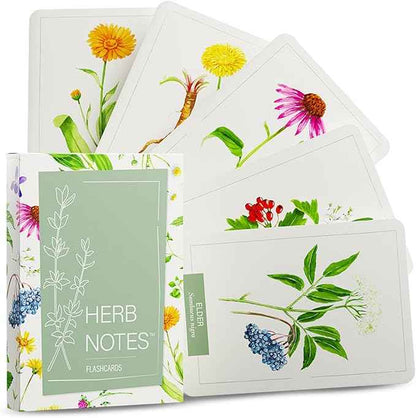 Herb Notes Flash Cards – Educational Plant Learning Cards with Botanical Illustrations – 48-Card Set for Plant Identification, Nature Study & Classroom Learning