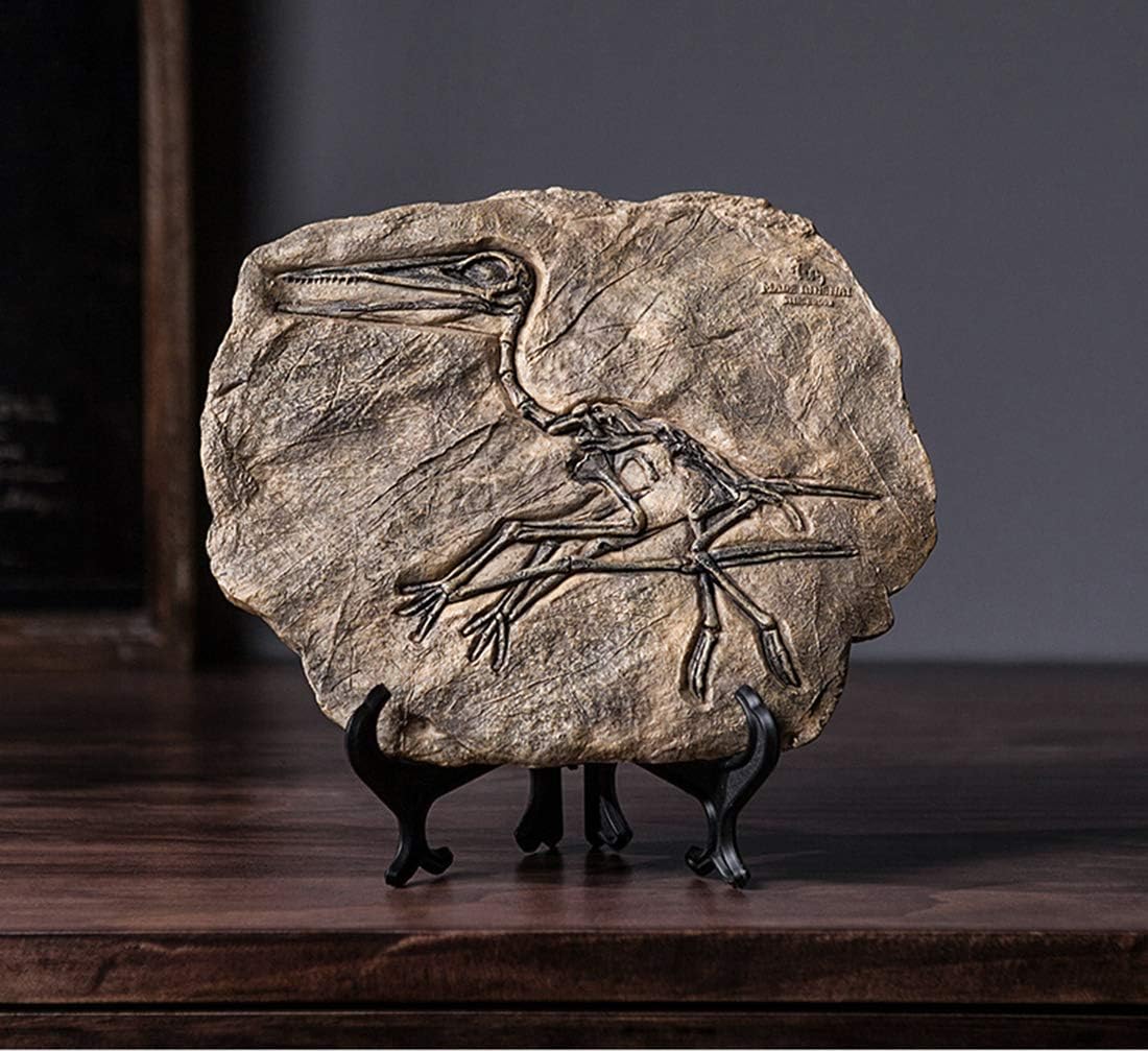 XINDAM Resin Dinosaur Fossil Statue Model Simulated Skeleton Home Office Display Decorative Craft Box Decoration (Style 3)