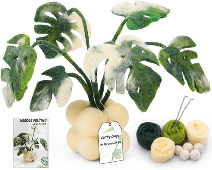 OEHPICC Needle Felting Kit for Beginners, Monstera Potted Plant Felt Kit, Wool Felting Kit with Felting Needles, Felting Pad and Instructions, Perfect for Office Indoor Greenery Present Idea