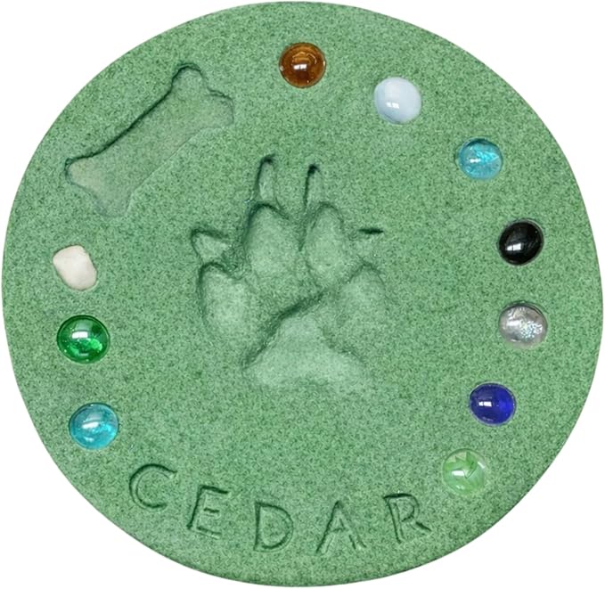 DIY Paw Print Kit for Pets, Personalized Memorial Stepping Stones for Gifts and Pets, Pet Garden Stone (10 Inch + Stamp Set, Green)