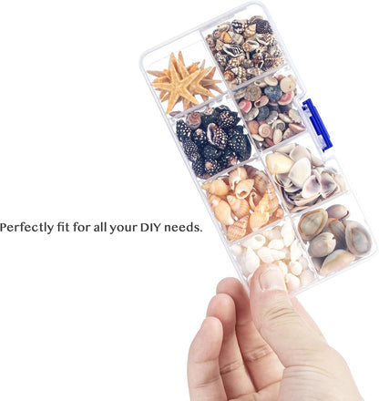 Premium Tiny Seashell Mix, Including Sea Shells, Sea Snails and Starfish Total 300+PCS (8 Kinds), Shells for Crafts Decorating Resin and Mosaics Projects DIY Crafts Home Decor Beach Themed Party
