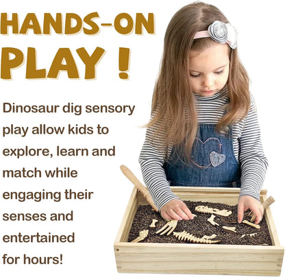 Xylolin Dinosaur Excavation Archaeology Dig Kit for Kids, Fossil Explore Sensory Bin Toys, Dino Skeletons Bones Puzzle Game, Archaeology Science STEM Toys for Boys and Girls (Tyrannosaurus)