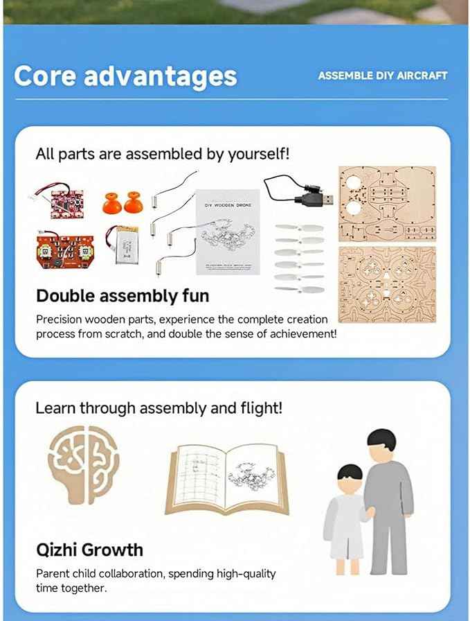DIY Wooden Drone Model Kit, RC Wooden DIY Drone Model, Remote Control Mini Quadcopter, for Adults Creative Building Models, Gifts Suitable for Craft Lovers (1pc)