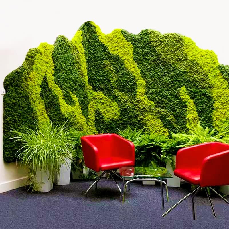 Preserved Reindeer Moss Natural Green DIY Kit Gardenning Art Wall Decor Florist Decor Easter Table Decor Wedding (13.5981 Ounce)