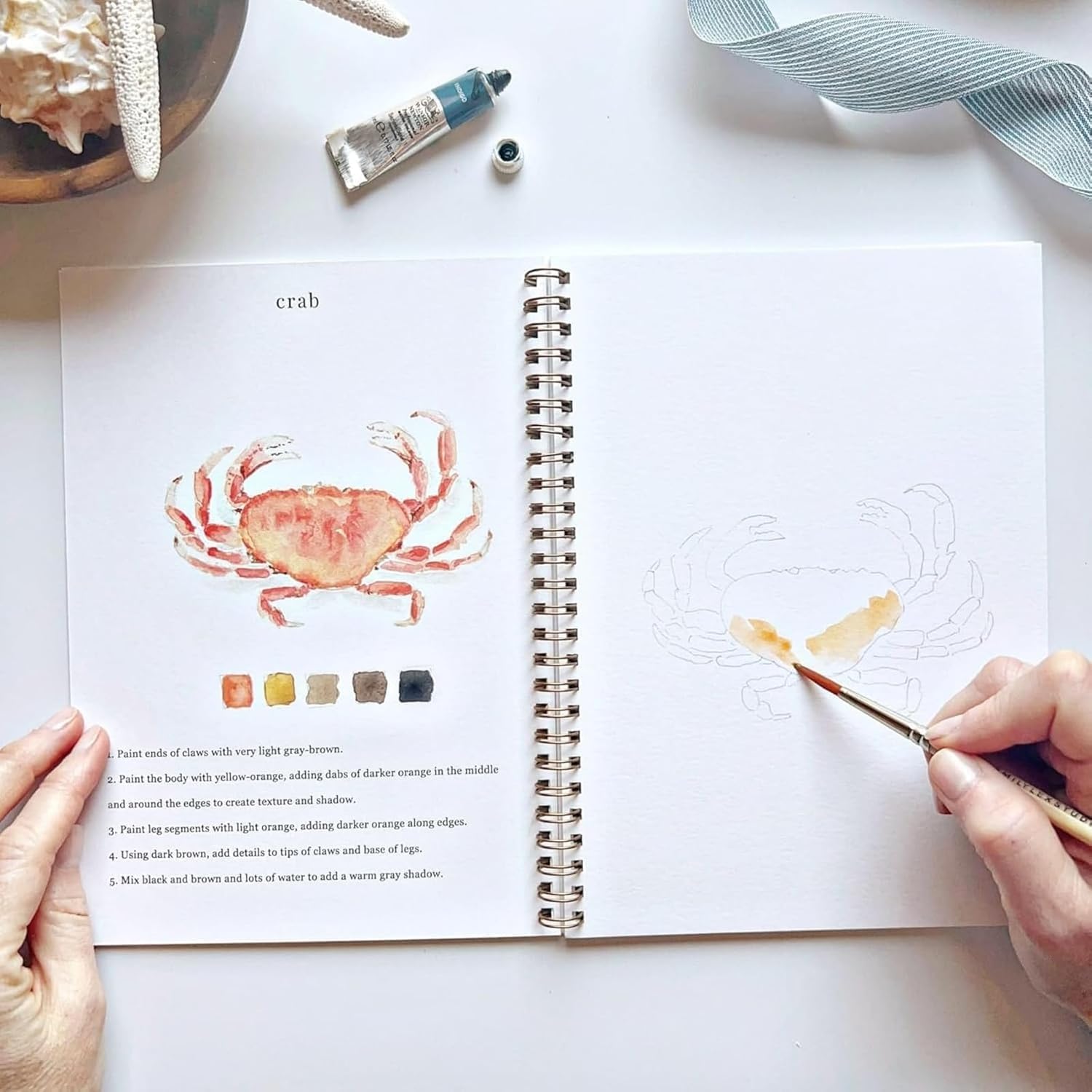 Watercolor Workbooks, Beginner Watercolor Painting Kit – 12 Colors Paint Set with Brush - Crafty Corner