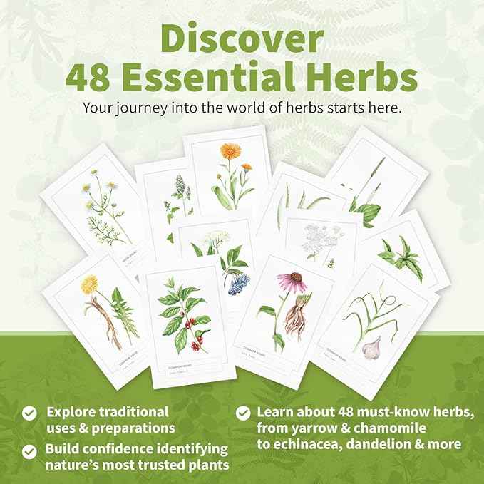 Herb Notes Flash Cards – Educational Plant Learning Cards with Botanical Illustrations – 48-Card Set for Plant Identification, Nature Study & Classroom Learning